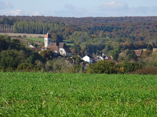 Les nobles d’Alioncourt au Comté de Bourgogne (2)